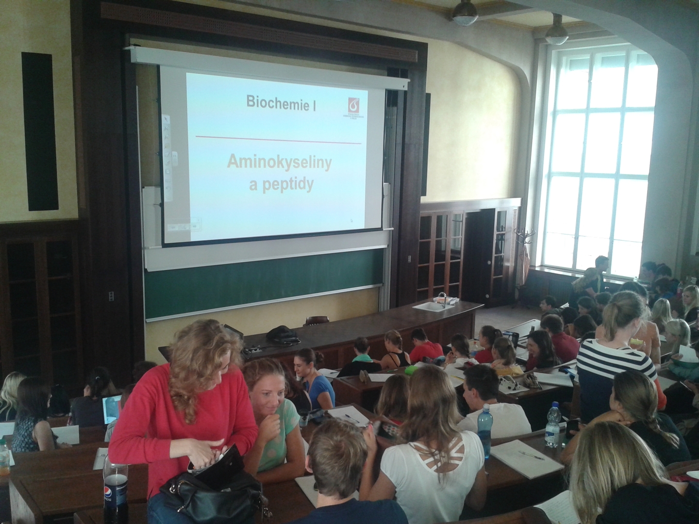 domistav - reference